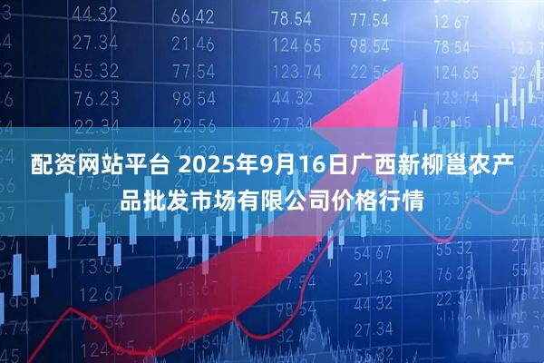 配资网站平台 2025年9月16日广西新柳邕农产品批发市场有限公司价格行情