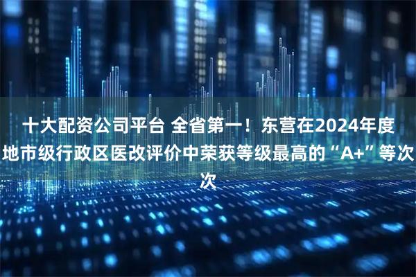 十大配资公司平台 全省第一！东营在2024年度地市级行政区医改评价中荣获等级最高的“A+”等次