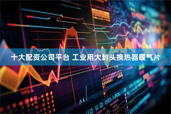 十大配资公司平台 工业用大封头换热器暖气片