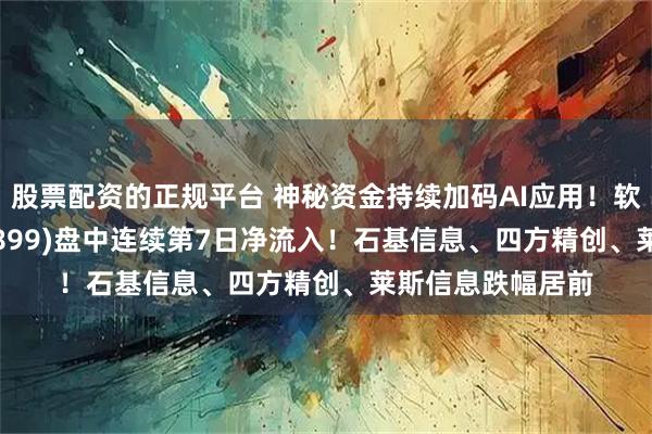 股票配资的正规平台 神秘资金持续加码AI应用！软件龙头ETF(159899)盘中连续第7日净流入！石基信息、四方精创、莱斯信息跌幅居前