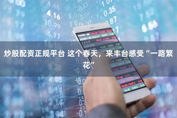 炒股配资正规平台 这个春天，来丰台感受“一路繁花”