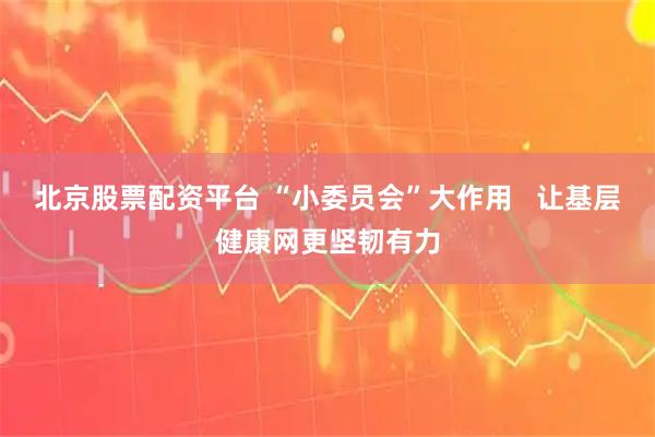 北京股票配资平台 “小委员会”大作用   让基层健康网更坚韧有力